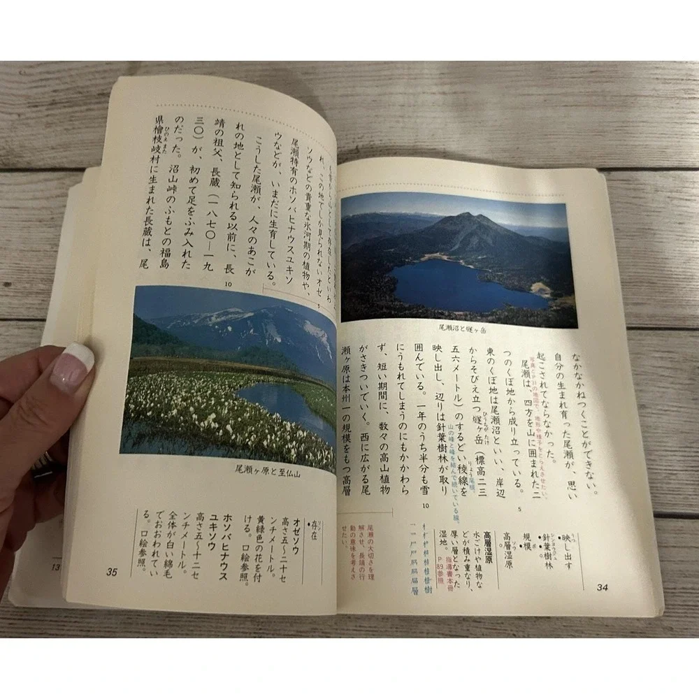 Japanese Old Textbook Kokugo 6 Shimo Hope Heisei Elementary School  TubB7